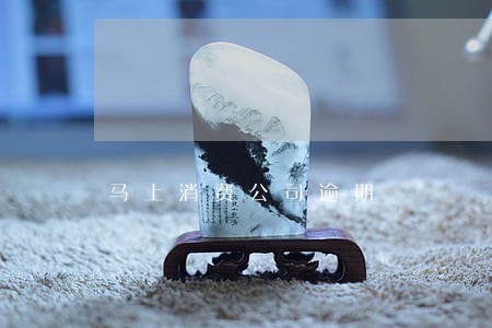 马上消费公司逾期 马上消费公司逾期