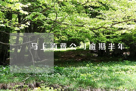 马上消费公司逾期半年 马上消费公司逾期半年