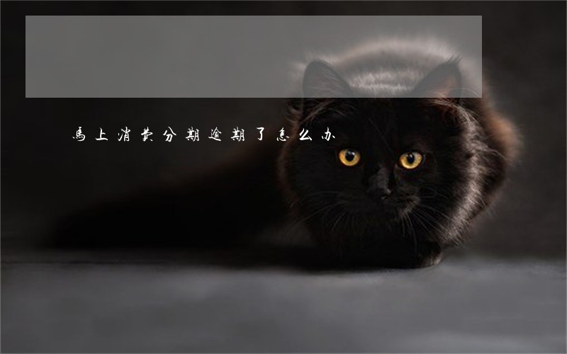 马上消费分期逾期了怎么办 马上消费分期逾期了怎么办