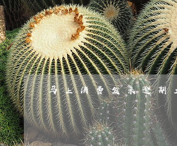 马上消费发来逾期立案通告 马上消费发来逾期立案通告