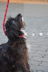 马上消费有逾期征信能消除吗 马上消费有逾期征信能消除吗