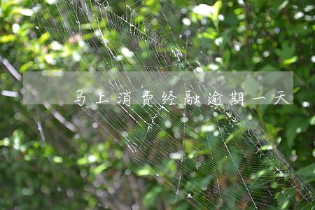 马上消费经融逾期一天 马上消费经融逾期一天