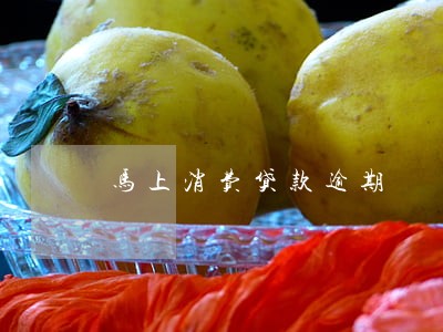 马上消费贷款逾期