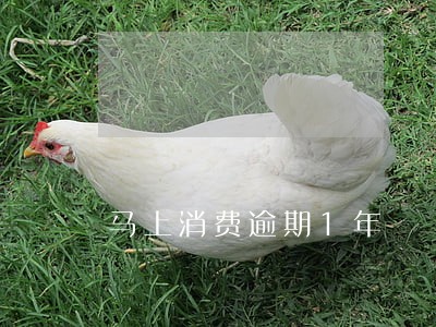 马上消费逾期1年 马上消费逾期1年
