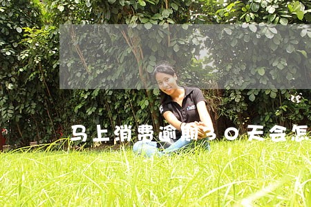 马上消费逾期30天会怎样