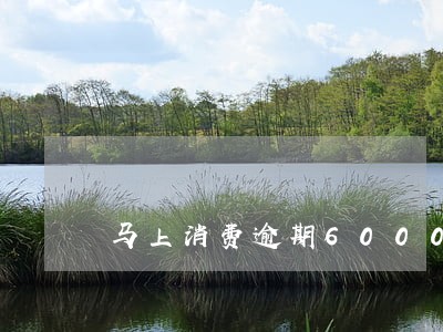 马上消费逾期6000多 马上消费逾期6000多