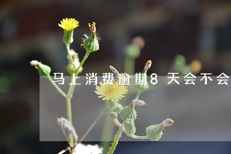 马上消费逾期8天会不会记录 马上消费逾期8天会不会记录