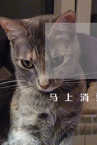 马上消费逾期一年要怎么还 马上消费逾期一年要怎么还