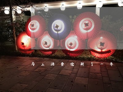 马上消费逾期了一年 马上消费逾期了一年