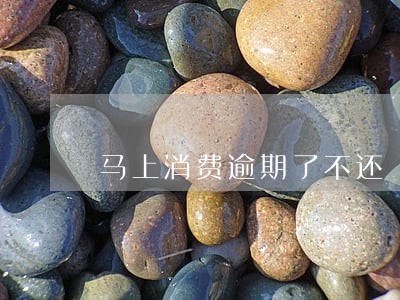 马上消费逾期了不还 马上消费逾期了不还