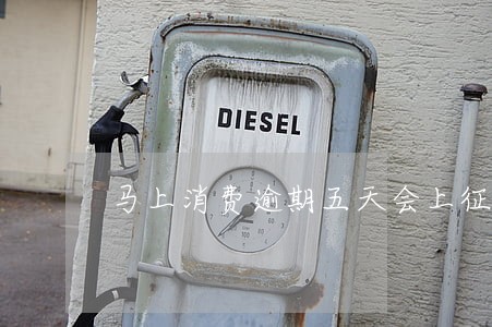 马上消费逾期五天会上征信吗 马上消费逾期五天会上征信吗