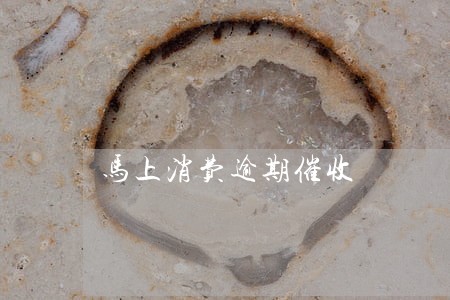 马上消费逾期催收 马上消费逾期催收