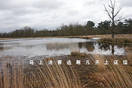 马上消费逾期几天上征信 马上消费逾期几天上征信