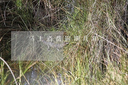 马上消费逾期几年 马上消费逾期几年
