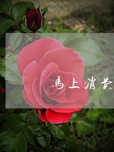 马上消费逾期协议 马上消费逾期协议