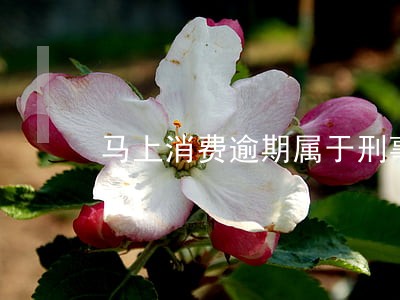 马上消费逾期属于刑事吗 马上消费逾期属于刑事吗