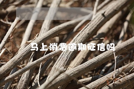 马上消费逾期征信吗 马上消费逾期征信吗