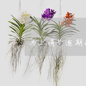 马上消费逾期征信怎么处理 马上消费逾期征信怎么处理