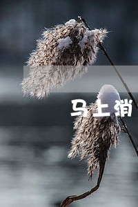 马上消费逾期欠款法律催收函