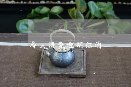 马上消费逾期结清 马上消费逾期结清