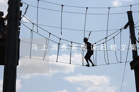 马上消费逾期说已经立案