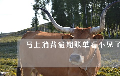 马上消费逾期账单看不见了 马上消费逾期账单看不见了