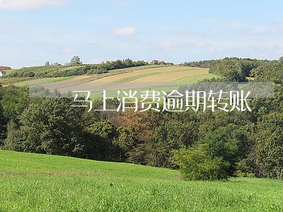 马上消费逾期转账 马上消费逾期转账