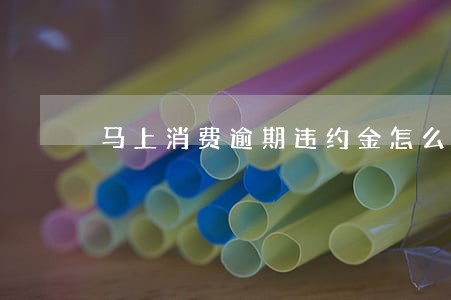 马上消费逾期违约金怎么算 马上消费逾期违约金怎么算