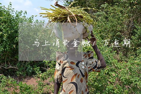 马上消费金融1万逾期