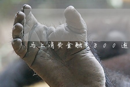马上消费金融3800逾期三年 马上消费金融3800逾期三年