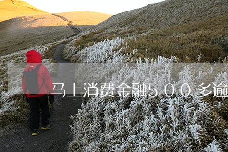 马上消费金融500多逾期