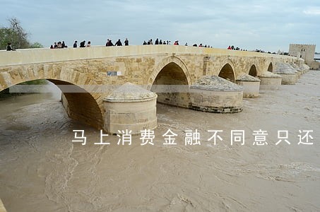 马上消费金融不同意只还本金