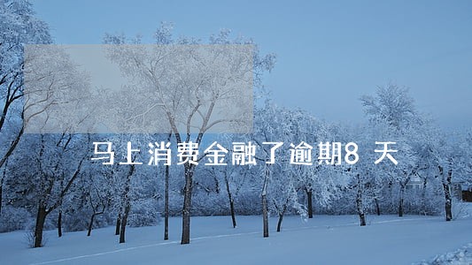马上消费金融了逾期8天 马上消费金融了逾期8天