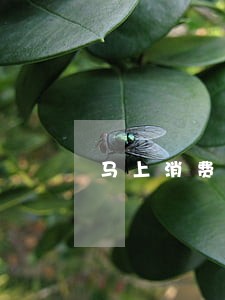 马上消费金融发信息说逾期 马上消费金融发信息说逾期