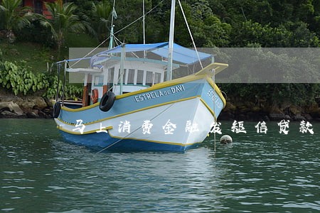 马上消费金融发短信贷款逾期 马上消费金融发短信贷款逾期