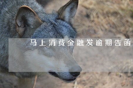 马上消费金融发逾期告函 马上消费金融发逾期告函