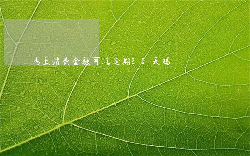 马上消费金融可以逾期20天吗