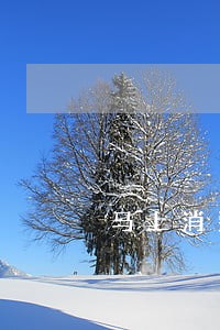 马上消费金融安逸花逾期会怎么样 马上消费金融安逸花逾期会怎么样