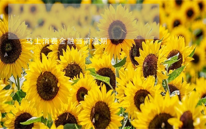 马上消费金融当前逾期 马上消费金融当前逾期
