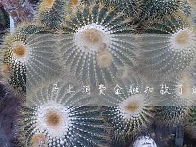 马上消费金融扣款了逾期 马上消费金融扣款了逾期