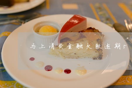 马上消费金融欠款逾期5年