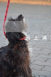 马上消费金融欠款逾期说要上门 马上消费金融欠款逾期说要上门