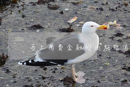 马上消费金融的逾期能消吗 马上消费金融的逾期能消吗