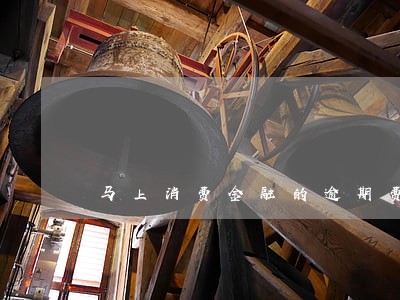 马上消费金融的逾期费用 马上消费金融的逾期费用