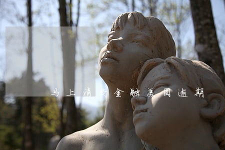 马上消费金融美团逾期 马上消费金融美团逾期