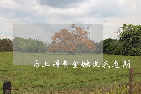 马上消费金融说我逾期 马上消费金融说我逾期