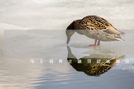 马上消费金融贷款逾期会怎样 马上消费金融贷款逾期会怎样