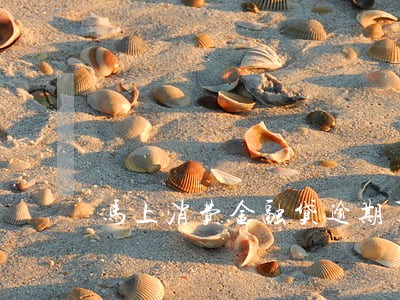 马上消费金融贷逾期了 马上消费金融贷逾期了