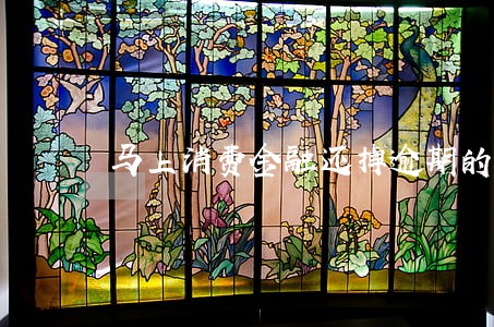 马上消费金融还掉逾期的 马上消费金融还掉逾期的