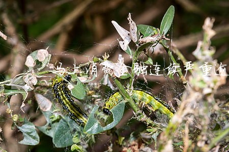 马上消费金融连续严重逾期 马上消费金融连续严重逾期